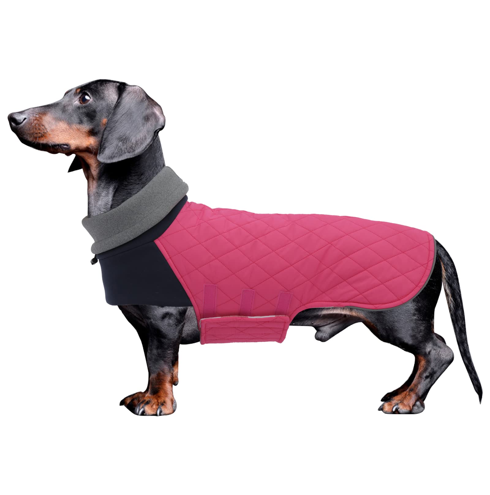 Geyecete Dachshund Winter Coat - Warm, Waterproof, Windproof Jacket With High Neckline String Holes for Small Dogs - Pink - L