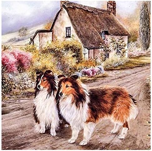LoveMyHome Diamond Painting Full Drill Kits/5D Diy Art Rhinestone Pasted Painting/Mosaic Cross Stitch - with Square Diamond and Make Tool - Animals - Two Dogs in Countryside (50X50CM)