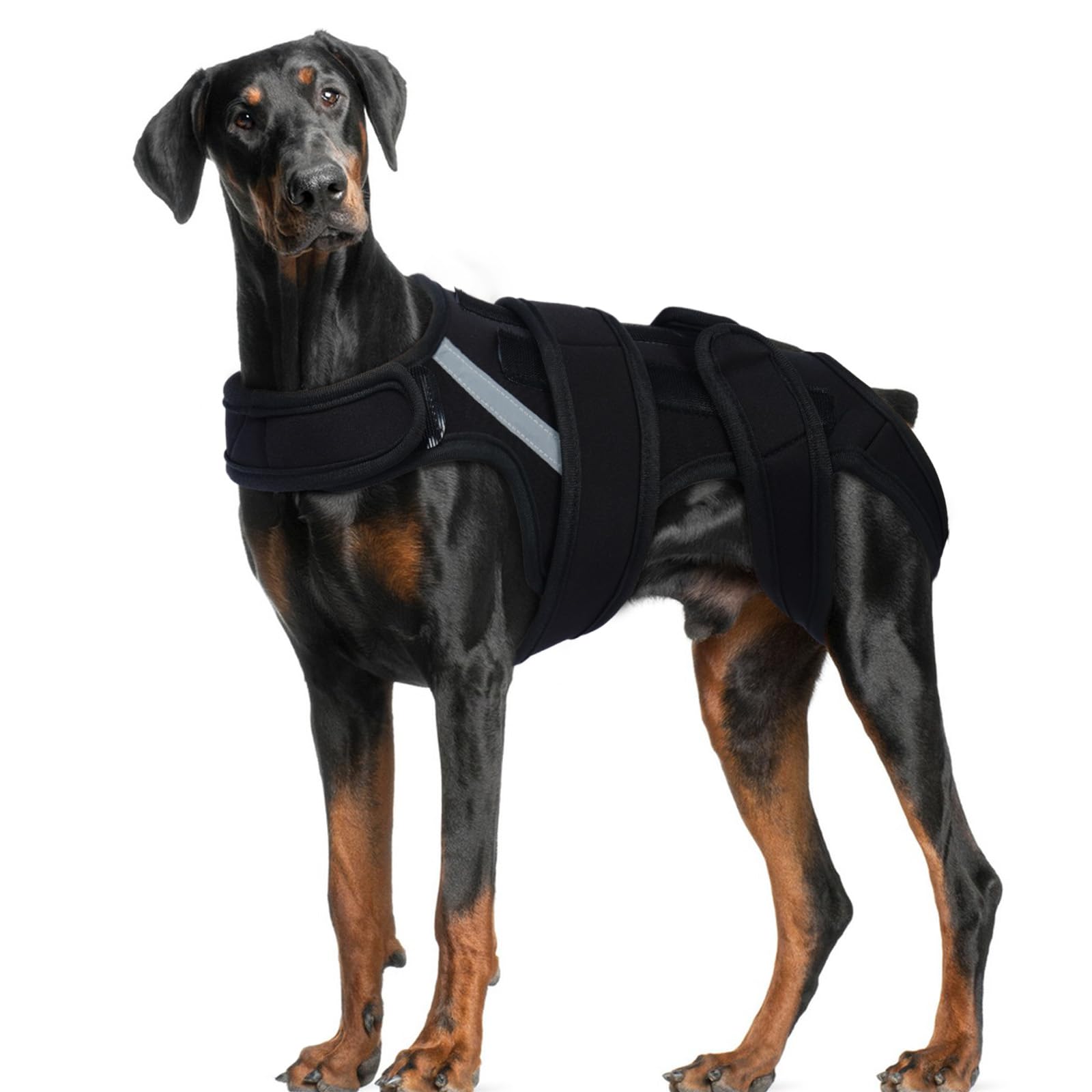 Hjyokuso Dog Back Brace XL, Adjustable Spine Support Vest for IVDD, Slipped Disc, Herniated Disc, Arthritis, Post Surgery Recovery, Back Pain Relief for Dachshund,Corgi