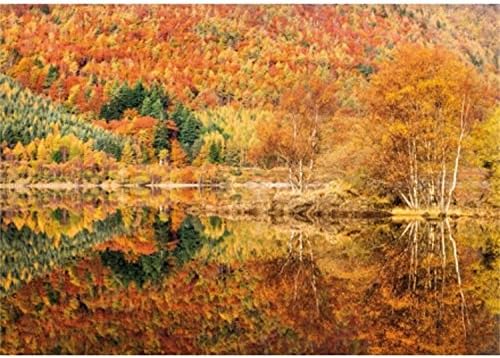 Wentworth Kaleidoscope 250 Piece Chris Ceaser Photography Wooden Jigsaw Puzzle