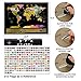 TOBEHIGHER Scratch Off World Map + Extra Scratch Off USA Map Poster 23.5