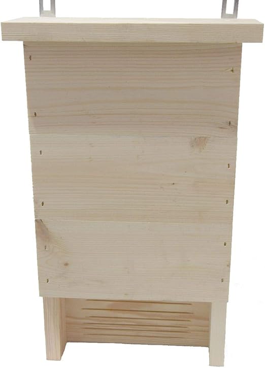 GardenSeedsMarket Caja de murciélago - Madera cruda: Amazon.es: Jardín