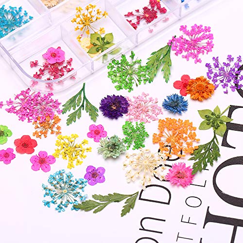 Nail Art Dried Flowers and Leaves 3D Nail Art Sticker Decals,24 Colors Natural Real Small Dried Flowers Nail Art Kit Decorations Supplies with Tweezer (2 Boxes)