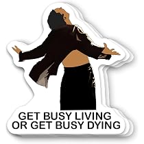 Amazon.com: (3Pcs) The Andy Dufresne Get Busy Living Or Get Busy ...