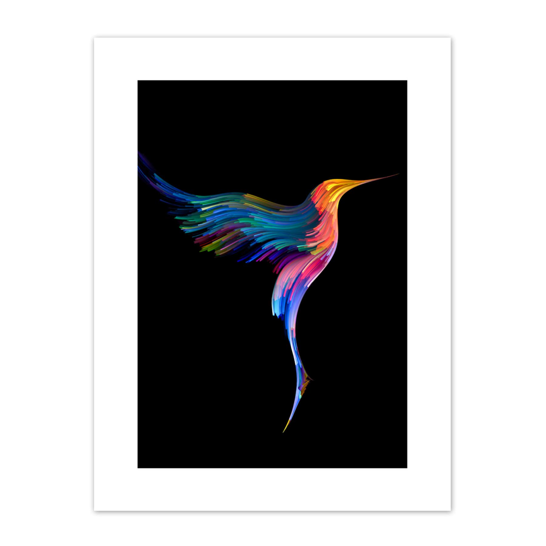 Hummingbird Colourful On Black Art Print Canvas Premium Wall Decor Poster