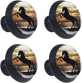 Lorvies Horse Under Sunset Drawer Knob Pull Handle Crystal Glass