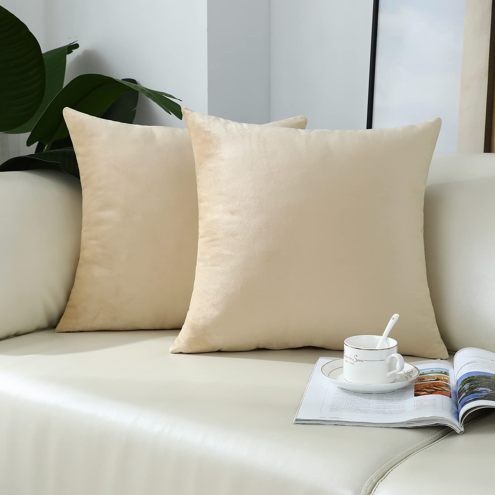 Photo 1 of mixeoo Comfy Cream Beige Throw Pillow Covers Decorative Square Solid Velvet Soft Ivory Couch Cushion Cases for Home Livingroom Sofa Decor, Set of 2, 18 x 18 Inch