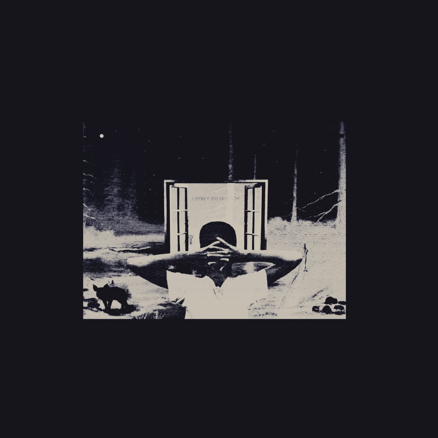 I Don't Like Shit, I Don't Go Outside: An Album by