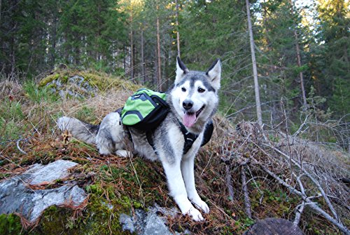 pettom dog saddle backpack