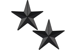 MEDALS OF AMERICA EST. 1976 U.S. Army Brigadier General Subdued Black Metal Rank Pair