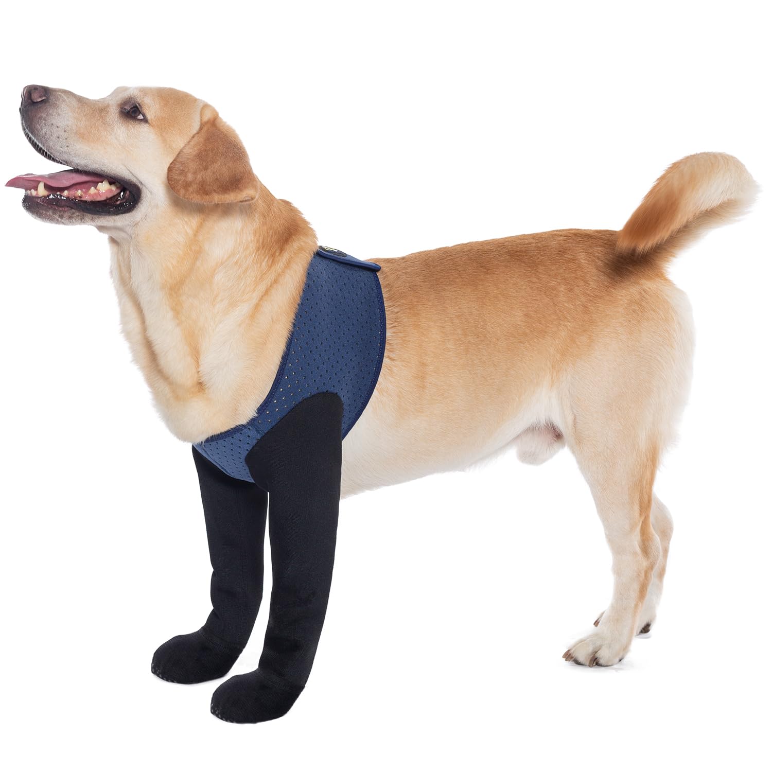 Photo 1 of COODEO Dog Socks & Paw Protectors - Front Paws Only, Non-Slip Waterproof Dog Boots to Prevent Paw Licking, Protect Wounds & Aids Post-Surgery Recovery (Blue, 2XL)
