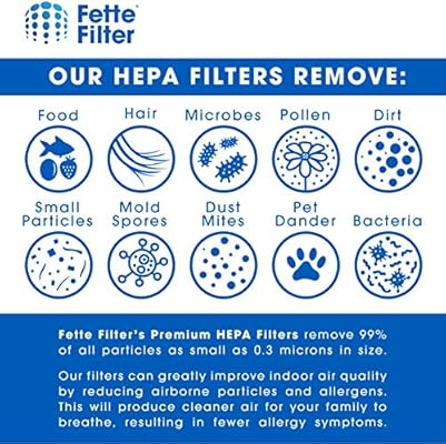 Fette Filter Hepa Filter Compatible With Dyson Hp01 Hp02 Dp01 Desk Purifiers Compare To Part 03 Compatible With Dyson Pure Hot Cool Link Air Purifier Filter Replacement Pack Of 2 Amazon Sg Home
