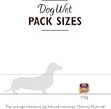 Lily's Kitchen Coronation Chicken Complete Grain Free Wet Dog Food 10x150g view 3