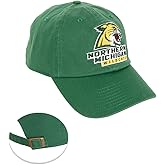 Desert Cactus Northern Michigan University Baseball Hat NMU Wildcats Brimmed Embroidered Hats Cap Adjustable Cloth Strap Adult (Style C) Green