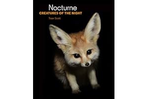 Nocturne: Creatures of the Night