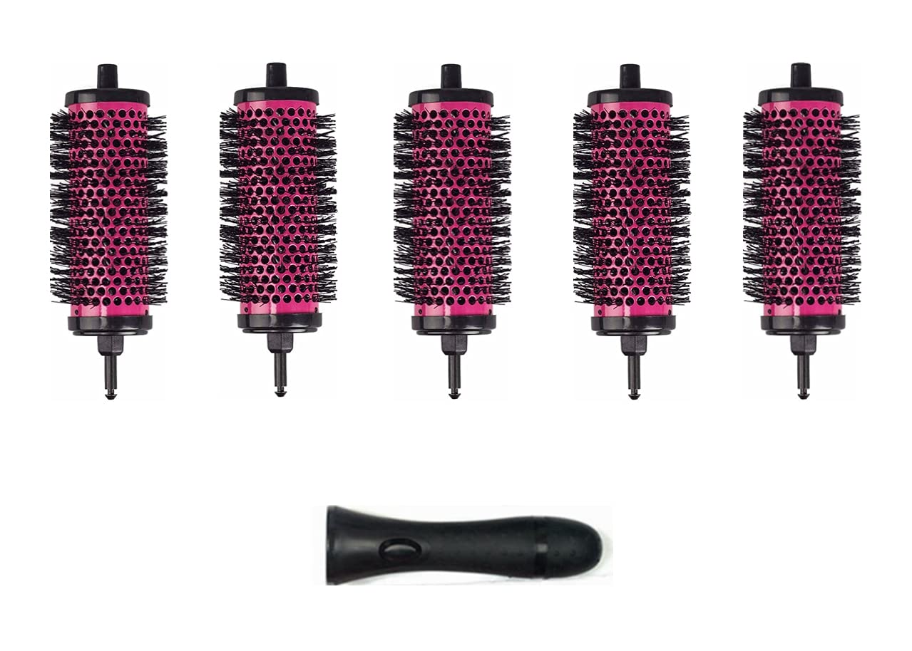 LIGICKY Blowout Brush Set with 2.0’’ Detachable Barrels Round Brushes Hair Styling Tool, 1 Handle 5 Barrels, Medium