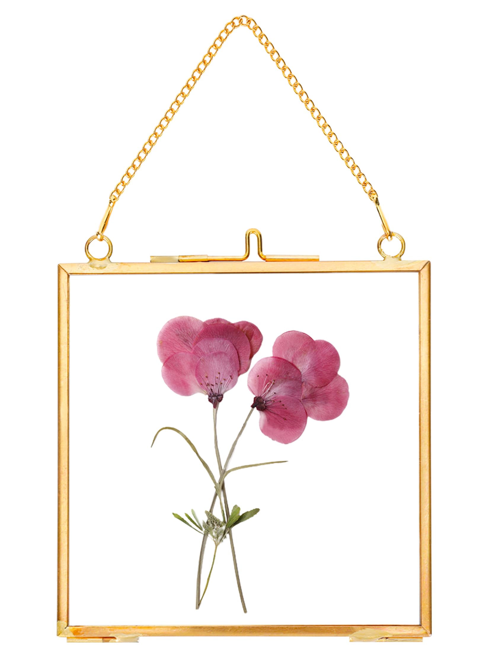 Photo 1 of REDHUGO Glass Pressed Flower Frames,Vintage Hanging Picture Frames with Chain,Handmade Brass Floating Picture Frame,Plant Specimen Wall Ornament Display Artwork DIY Family Photo,Square,Gold,4x4 Inches