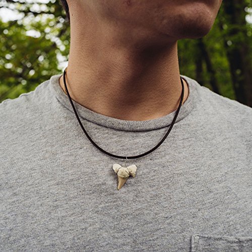 FROG SAC Shark Tooth Necklace for Men 