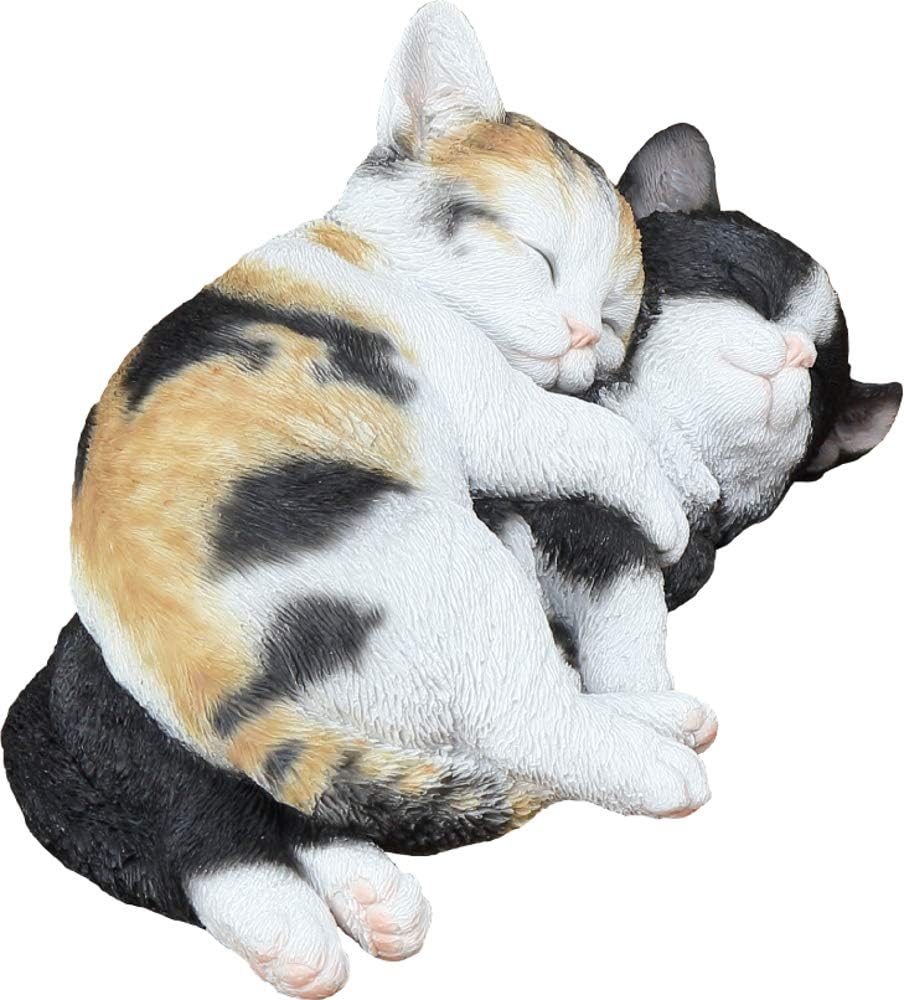 紅石 ベニーズキャット お昼寝中 ガーデン Amazon