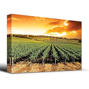 Gorgeous Sunset Over Vineyard - Canvas Art Home Art - 12x18 inches