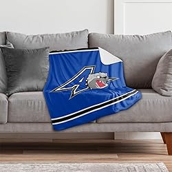 University of North Carolina Asheville Primary Logo