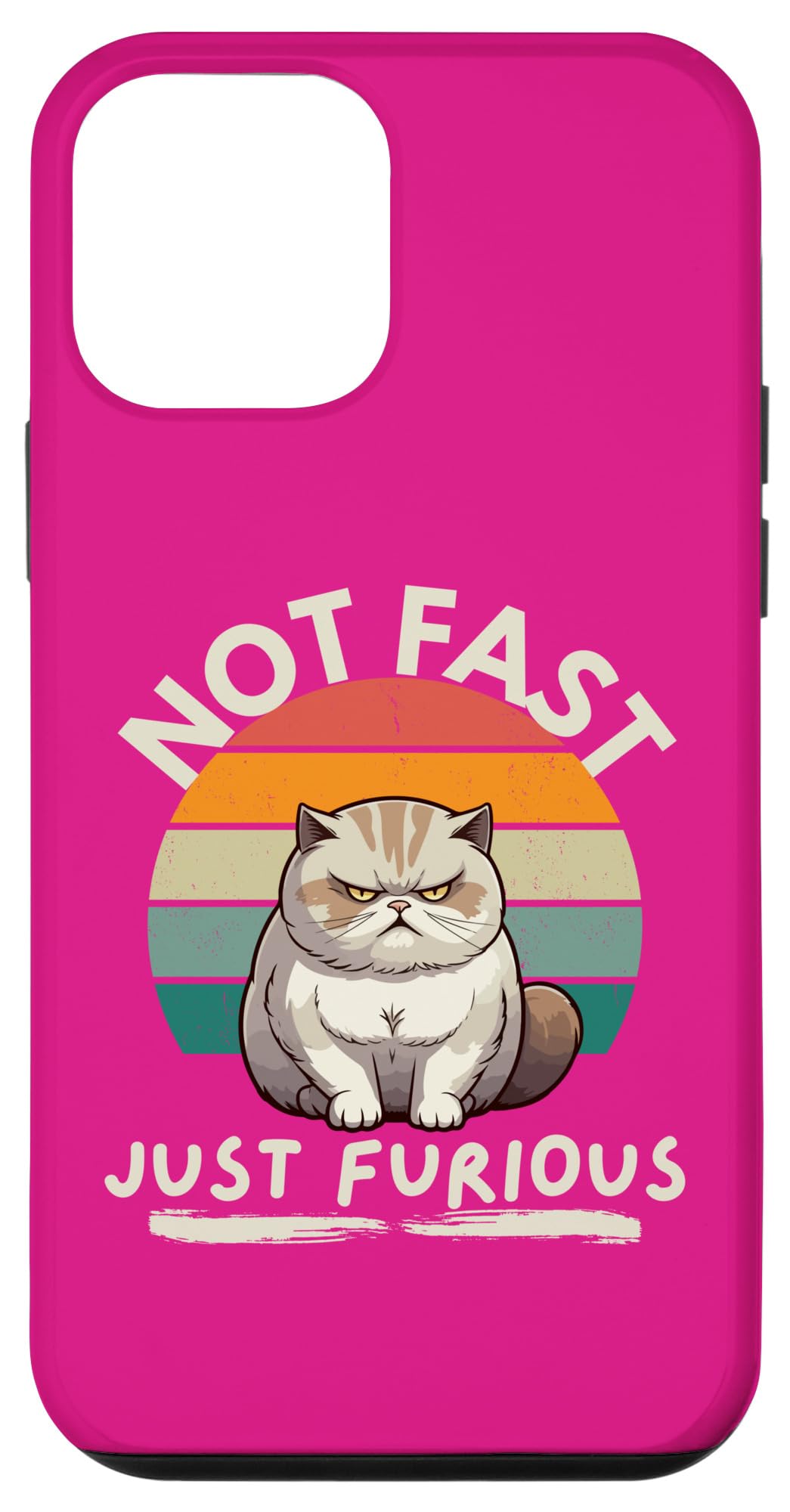iPhone 12 mini Not fast just furious with angry cat in retro sunset . Case
