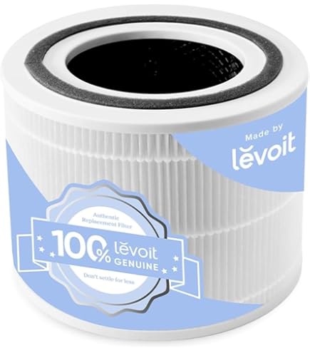 Amazon.com: Replacement Filter Compatible with BOYON A8, A18, FNA