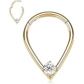 FUNLMO 316L Surgical Steel Septum Ring Daith Tragus Helix Rook Cartilage Piercing Jewelry Teardrop Nose Ring Hoop for Women Men