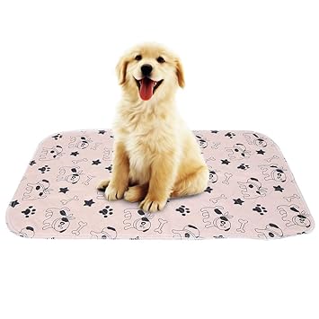 Smandy Pet Pipì Pad 3 Dimensioni Riutilizzabile Impermeabile Cucciolo Di Gatto Pipì Pads Letto Tappeto Lavabile Assorbente Animale Domestico Traing