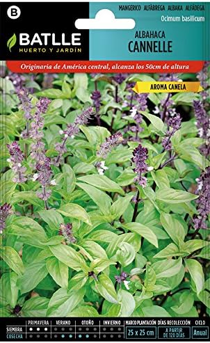 Semillas Aromáticas - Albahaca Cannelle - Batlle