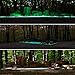 Qable Powerz 200 PCS Glow in The Dark Pebbles, Glow in The Dark Garden Pebbles Decorative Glow Stones Path Lights Outdoor Gravel Stones for Walkways, Garden, Yard, DIY Outdoor Decor (Blue, Green)