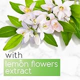 Pears Pure & Gentle Transparent Soap Bar Lemon Flower Extract 12 x 125g view 6