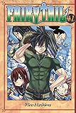 Fairy Tail Vol. 41
