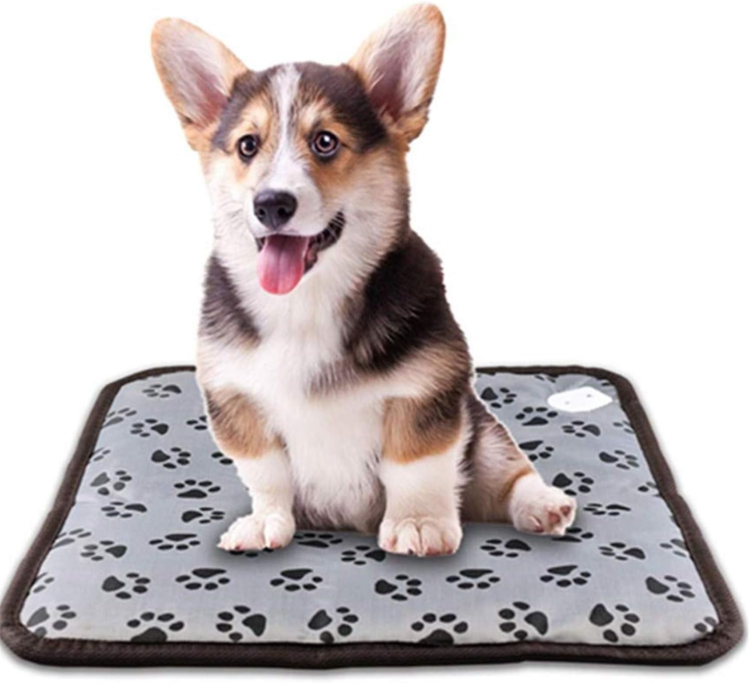 corgi heating pad