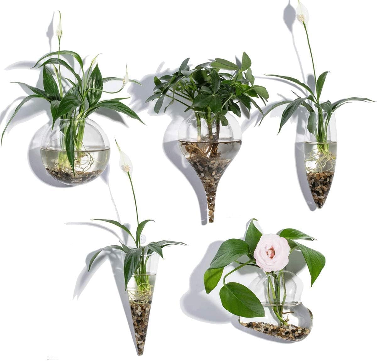 Home & Garden 2 x Glass Wall Hanging Planter Air Plants Terrariums Wall