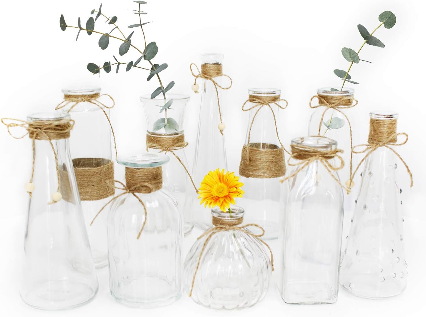 Unistyle Glass Vases Set of 10, Clear Glass Flower Vase with Rope Design and Differing Unique Shapes for Home Decoration