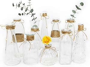 Unistyle Glass Vases Set of 10, Clear Glass Flower Vase with Rope Design and Differing Unique Shapes for Home Decoration