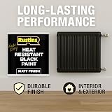 Rustins Quick Dry Heat Resistant Black Paint 250ml for Grills Metal Wood view 4