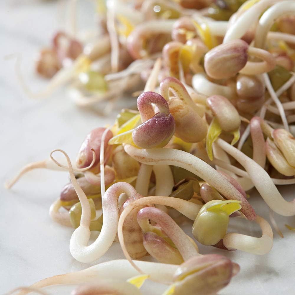 Suffolk Herbs - Organic Sprouting Seeds Mung Beans - 50g Seeds