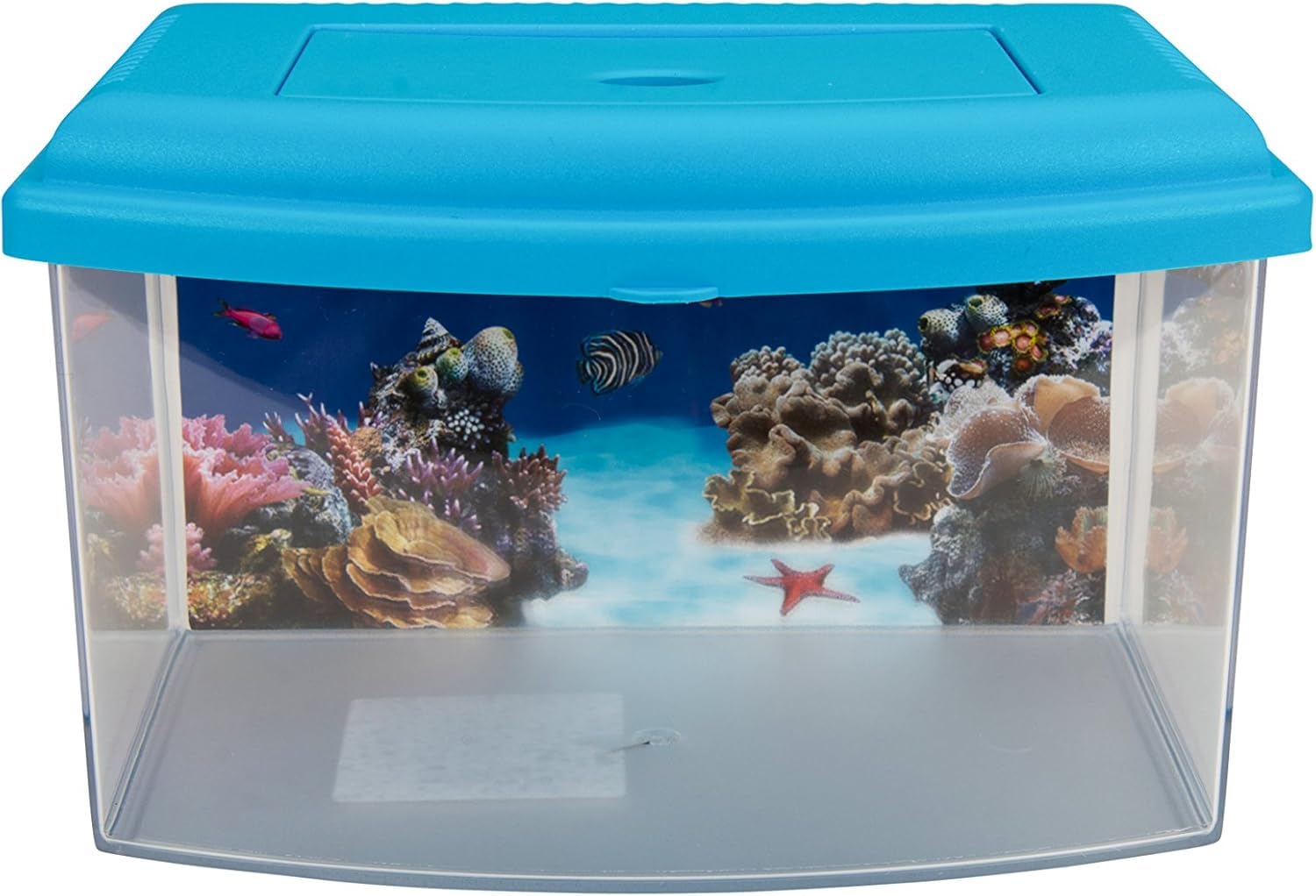 Aimé Plastic Aquarium for Fish, 1 kg