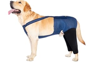 Coodeo Dog Recovery Suit, Cone Collar Alternative, Abrasion Resistant Dog Recovery Rear Sleeves, Washable 2.5mm Thick and Waterproof, Pet Wounds Prevent Licking, Biting (L, Blue)