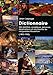 dictionnaire des peintres sculpteurs graveurs dessinateurs et architectes du languedoc-roussillon by
