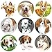 Dog Stickers Adorable Live Puppy Sticker for Classroom 200 PCS