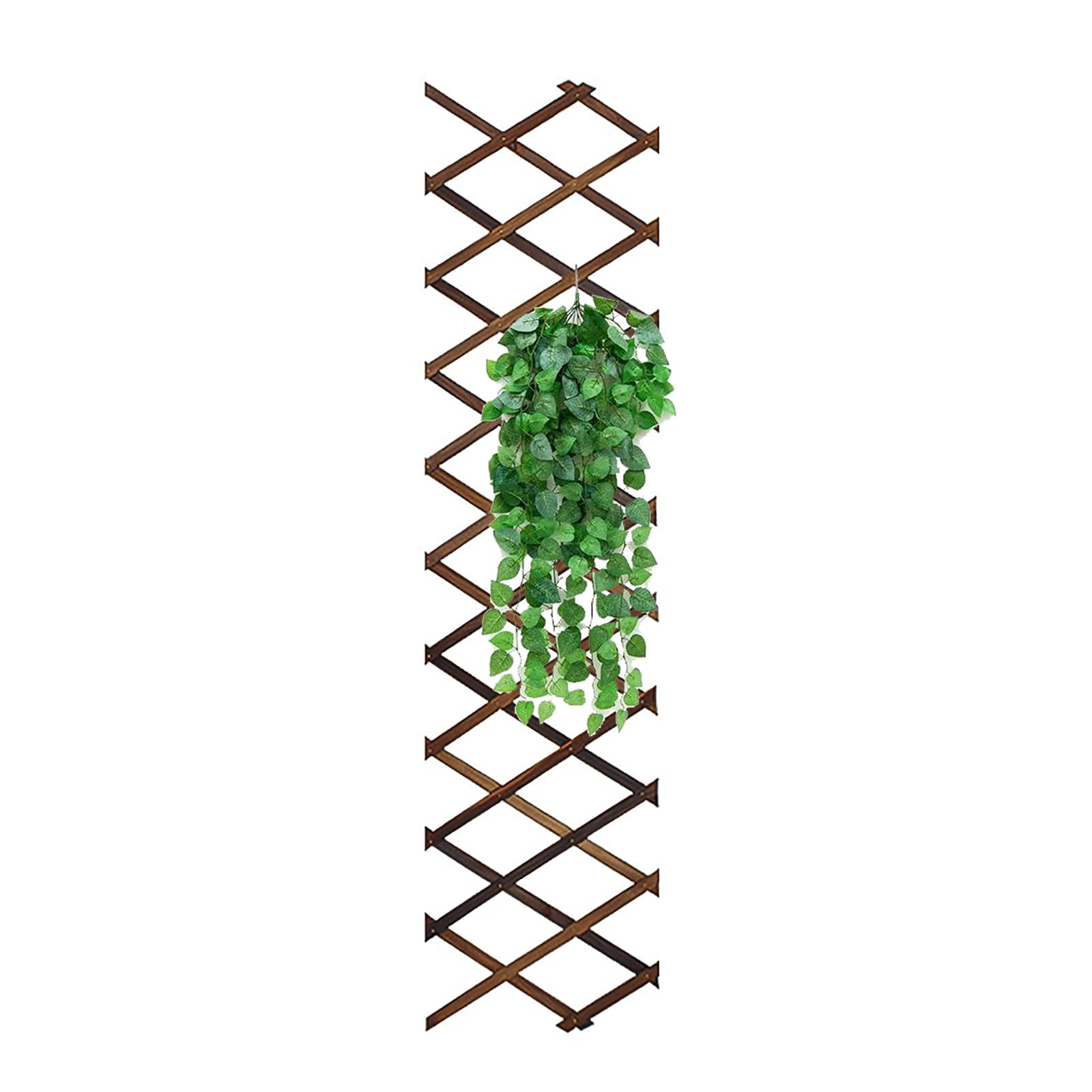 Reagia Wooden Lattice Wall Planter Garden Fence, Extra Thick Expandable Plant Climb Hanging Frame Trellis Plant Support Fence Indoor Air Plant Vertical Rack Wall Decor for Room Patio Garden - 1CM
