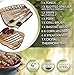 Teikis 19-Piece Grilling Accessories BBQ Tool Set Stainless Steel Storage Case + Thermometer
