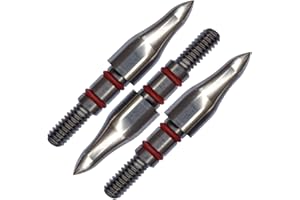 YBW 100Grains Archery Field Points,19/64″ Field Points Stainless Steel Screw in Archery Field Tips and BroadHeads (1 Dozen 12 PCS) (19/64″-100grains)