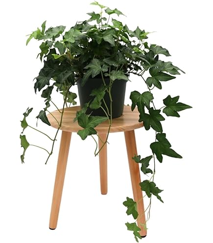 large indoor planter pots Knox Cylinder Planter with Wood Base main image 0