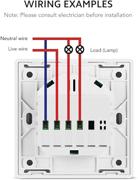 TECKIN Interruptores Inteligentes de pared compatibles con Alexa Google Home Interruptores WiFi Inteligentes con control remoto y de voz Ajuste del Temporizador No Se Sequiere Hub