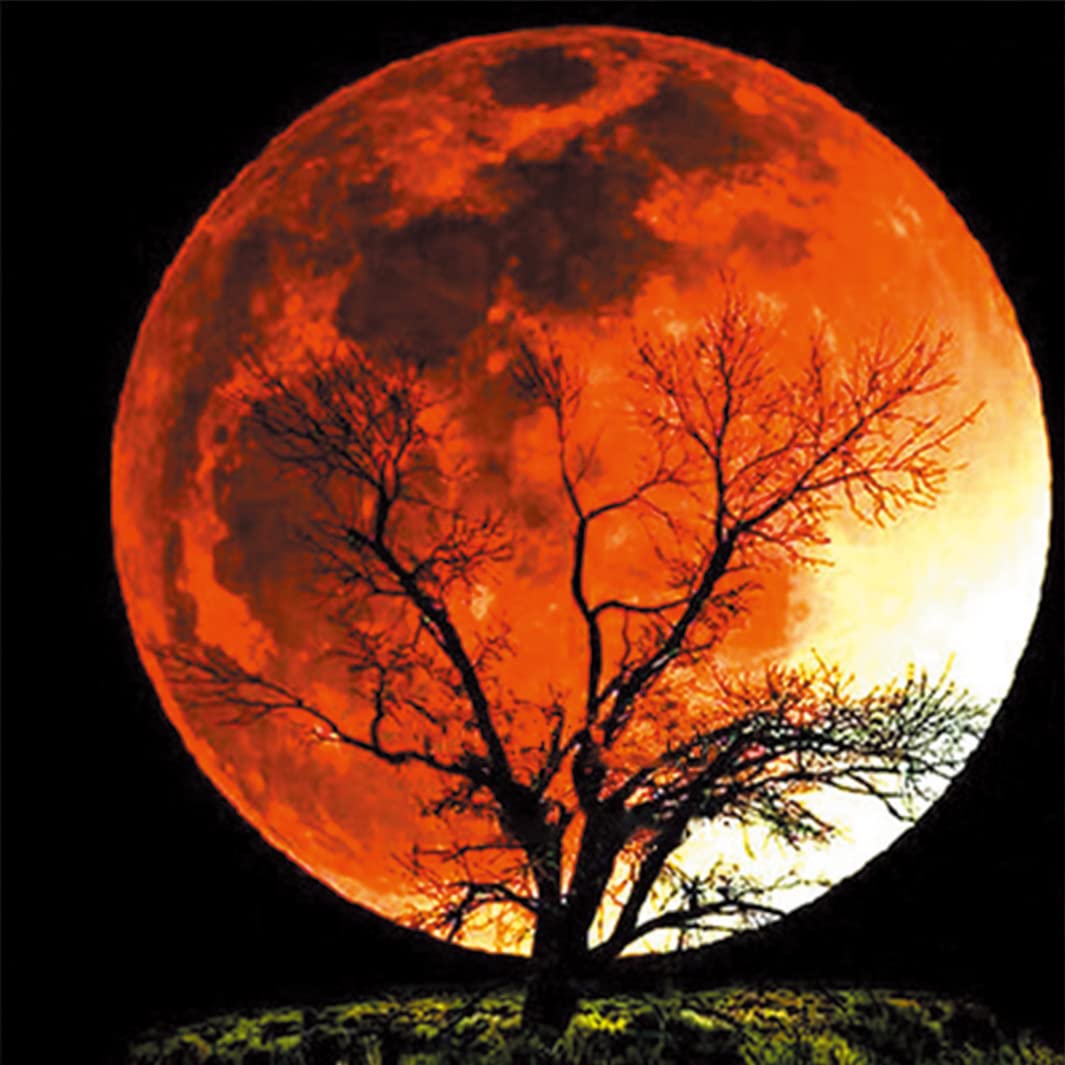 Cross Stitch Kits Stamped, OWN4B Moon Night Tree Printed Pattern 11CT 14.2x14.2 inch DIY Embroidery Kit (Moon)