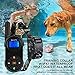 Dog Training Collar with Remote – Rechargeable Dog Shock Collar w/3 Training Modes,Up to Remote Range 2000FT & IPX7 Waterproof | E-Collar Shock Collar for Dogs Small, Medium, Large Size, All Breedsthumb 2